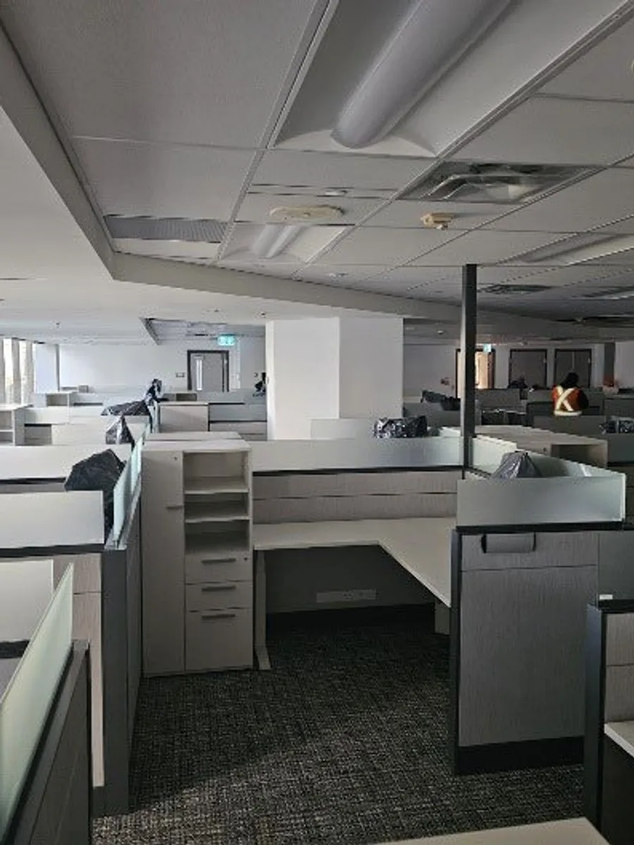 111 Wellesley Street interior renovation